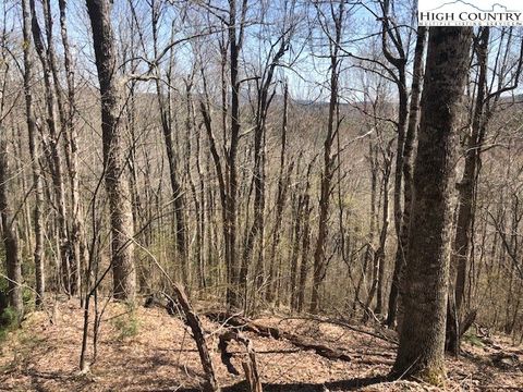 Photo of TBD Milton Brown Heirs Road, Boone, NC 28607 (MLS # 246571)