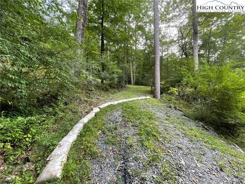 Photo of TBD Millers Pond Lane, Boone, NC 28607 (MLS # 257856)