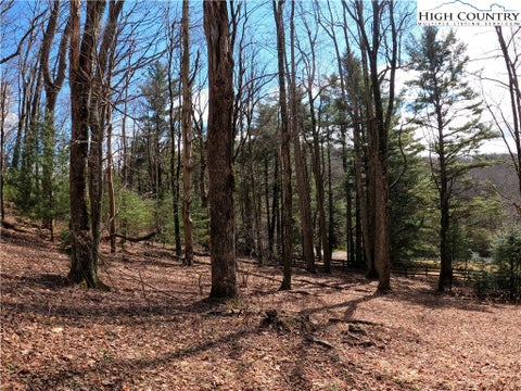 Vacant Land For Sale - LOT 4 Churchill Downs<br/> Watauga County, Boone, NC 28607