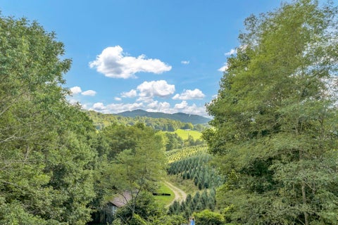 Photo of 6104 Howards Creek Road, Boone, NC 28607 (MLS # 264054)