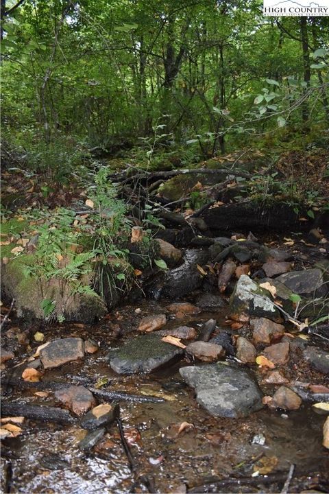 Photo of tbd Little Fawn Lane, Sparta, NC 28675 (MLS # 253803) Photo of tbd Little Fawn Lane, Sparta, NC 28675 (MLS # 253803)