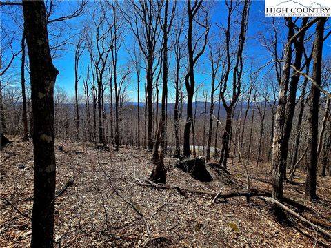 Photo of Lot 78 Elk Creek Mountain Parkway, Todd, NC 28684 (MLS # 254538)