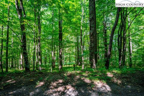 Photo of Lot 23 Harley Perry Road, Zionville, NC 28698 (MLS # 239492)
