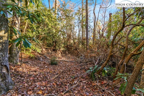 Vacant Land For Sale - TBD Midway Road<br/> Newland, NC 28657