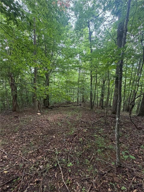 Photo of TBD Edwin Blevins Road, Jefferson, NC 28640 (MLS # 263886)