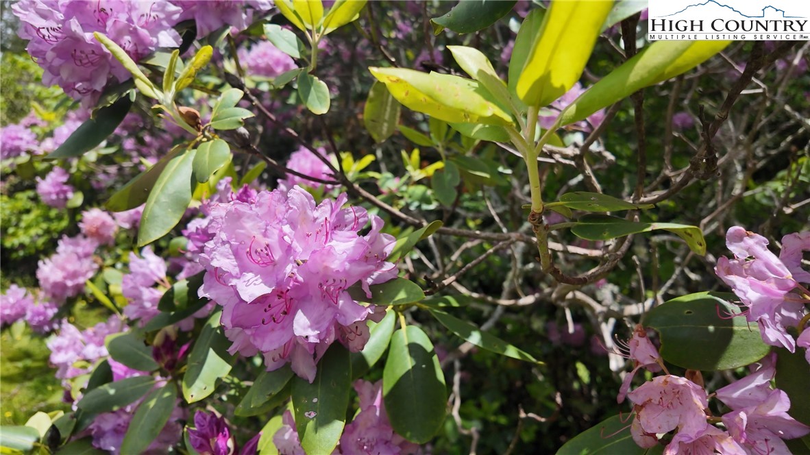 Newland, North Carolina 28657, United States, 2 Bedrooms Bedrooms, ,2 BathroomsBathrooms,Residential,Active,143878