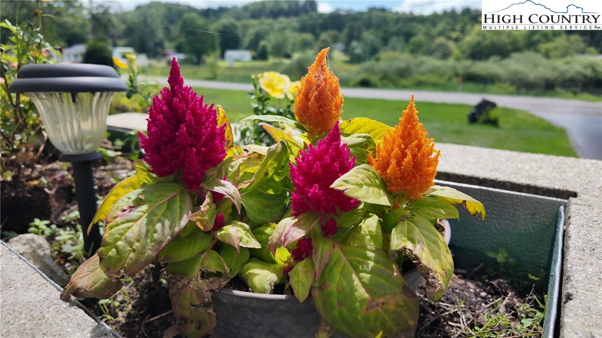 Newland, North Carolina 28657, United States, 2 Bedrooms Bedrooms, ,2 BathroomsBathrooms,Residential,Active,143878