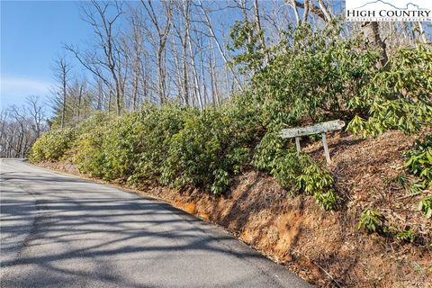 Photo of TBD Brown Mountain Ridge Road, Blowing Rock, NC 28605 (MLS # 254127)