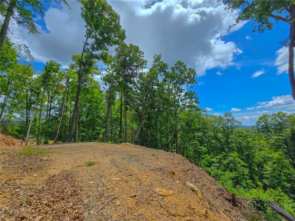 Lot 121 Wildcat Wilderness Parkway