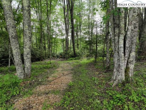 Photo of 1776 Ripshin Mountain Road, Roan Mountain, TN 37687 (MLS # 260635)
