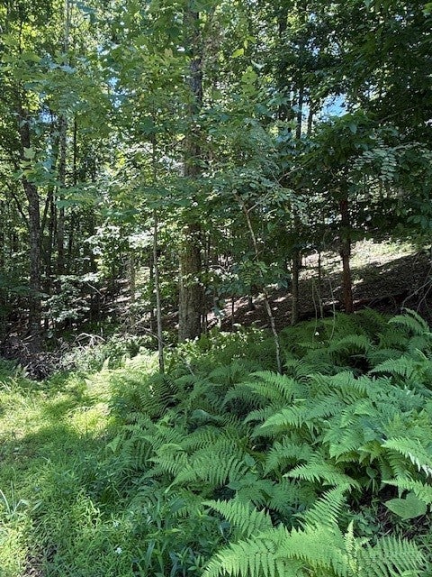 TBD Lot 30 High Meadows Court