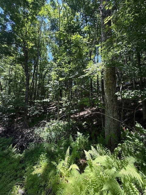 TBD Lot 30 High Meadows Court