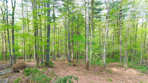 Photo of Lot 15 Walden Lane, West Jefferson, NC 28694 (MLS # 261577)
