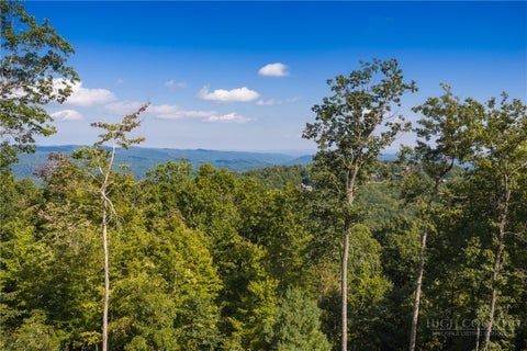 Vacant Land For Sale - 368 Reynolds Parkway<br/> Watauga County, Boone, NC 28607