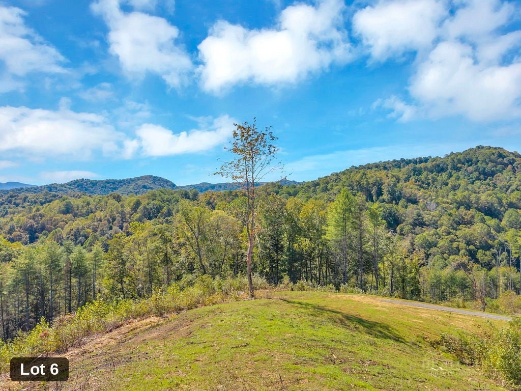 Lot 6 Horseshoe Trail