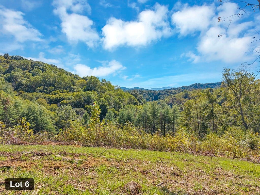 Lot 6 Horseshoe Trail