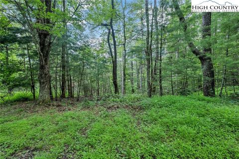 Vacant Land For Sale - LOT 73 Buckland Road<br/> Ashe County, Grassy Creek, NC 28631