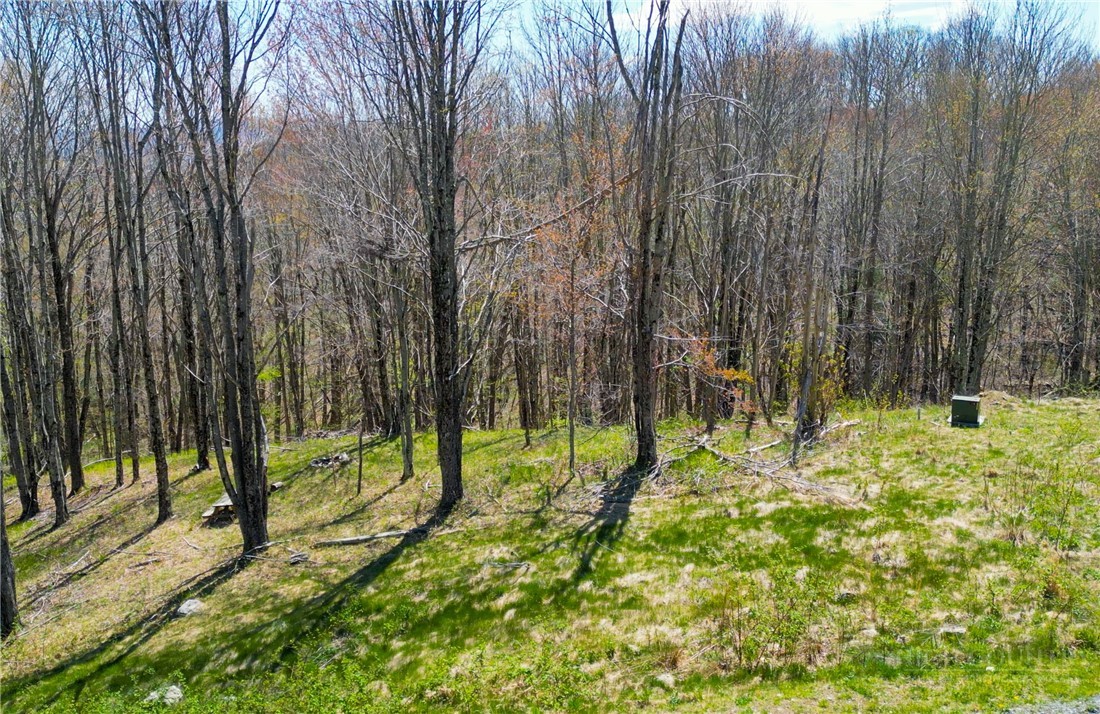 Lot 86 Featherwood Trail