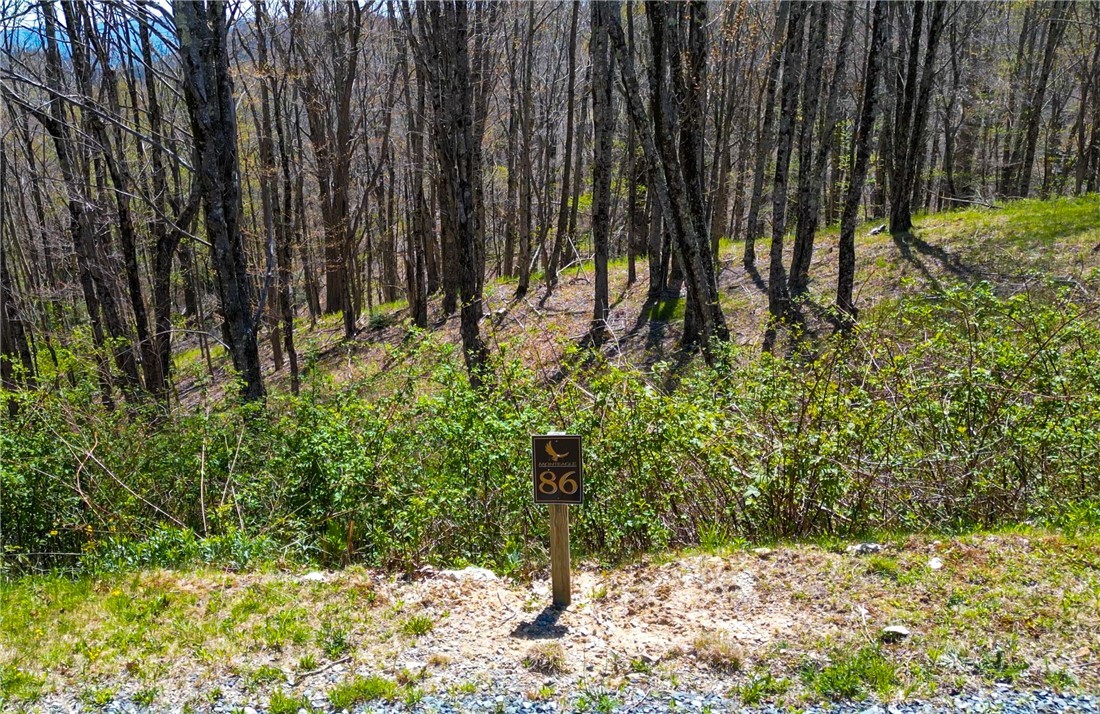 Lot 86 Featherwood Trail