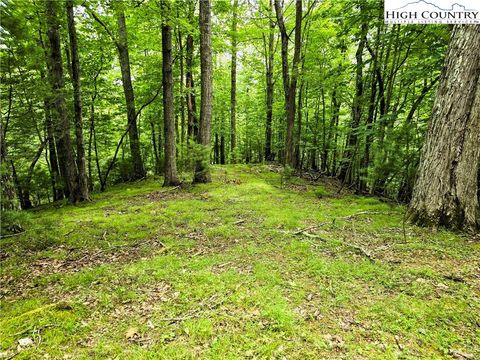 Photo of Lot 7 Brightwood Trail, Deep Gap, NC 28618 (MLS # 256511)