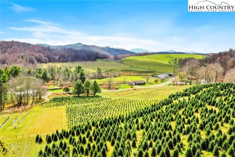 Photo of 6104 Howards Creek Road, Boone, NC 28607 (MLS # 255594)