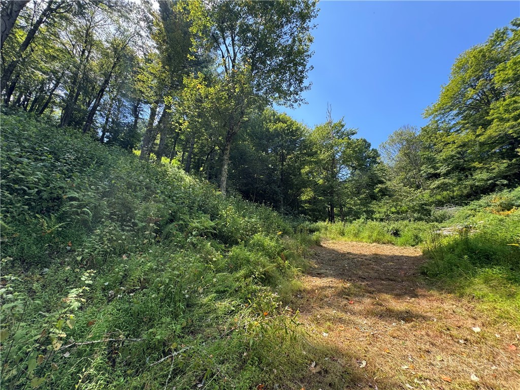 TBD Wyeth Drive