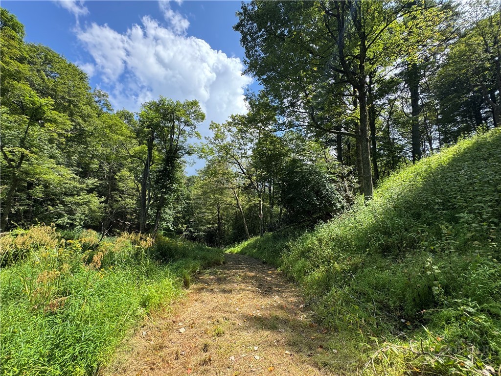 TBD Wyeth Drive