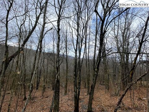 Condo For Sale - 116 Aster Trail Trl<br/> Beech Mountain, NC 28604