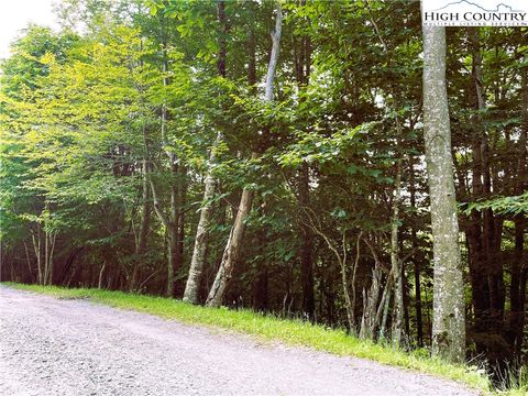Photo of 116 Aster Trail Trl, Beech Mountain, NC 28604 (MLS # 250800)