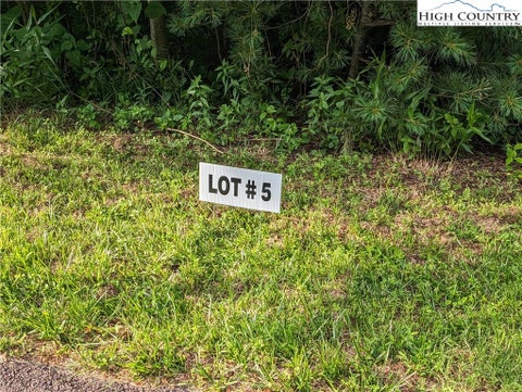 Vacant Land For Sale - LOT 5 Briarwood Lane<br/> Sparta, NC 28675
