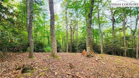 Photo of Lot 49 Abaco Drive, Vilas, NC 28692 (MLS # 258149)