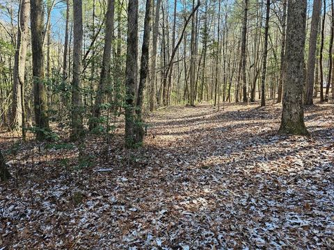 Vacant Land For Sale - Beaverdam Rd #153<br/> MURPHY, NC 28906