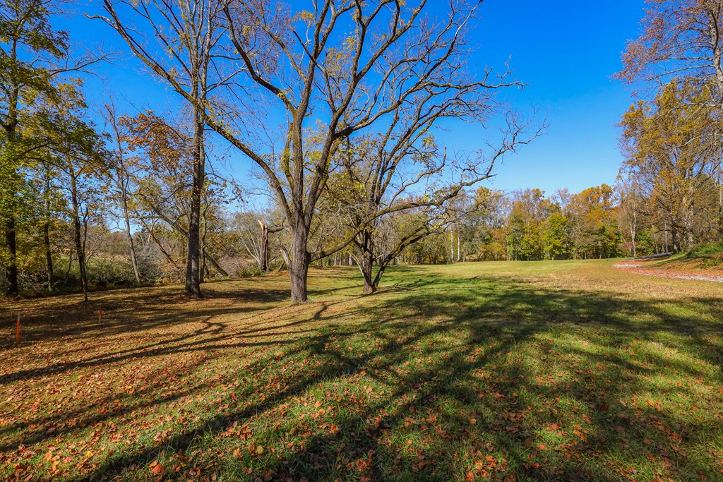 Lot 7 Hinton Overlook #7, HAYESVILLE, North Carolina image 5