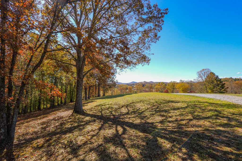 Lot 7 Hinton Overlook #7, HAYESVILLE, North Carolina image 2