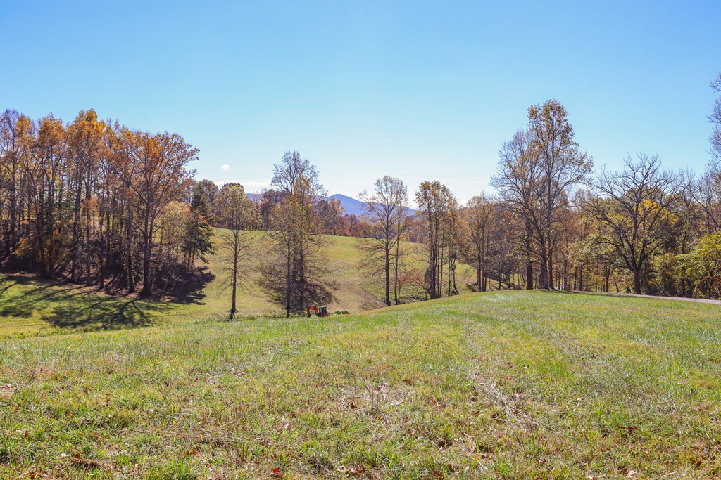 Lot 7 Hinton Overlook #7, HAYESVILLE, North Carolina image 18