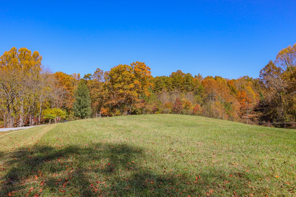 Lot 7 Hinton Overlook #7, HAYESVILLE, North Carolina image 19