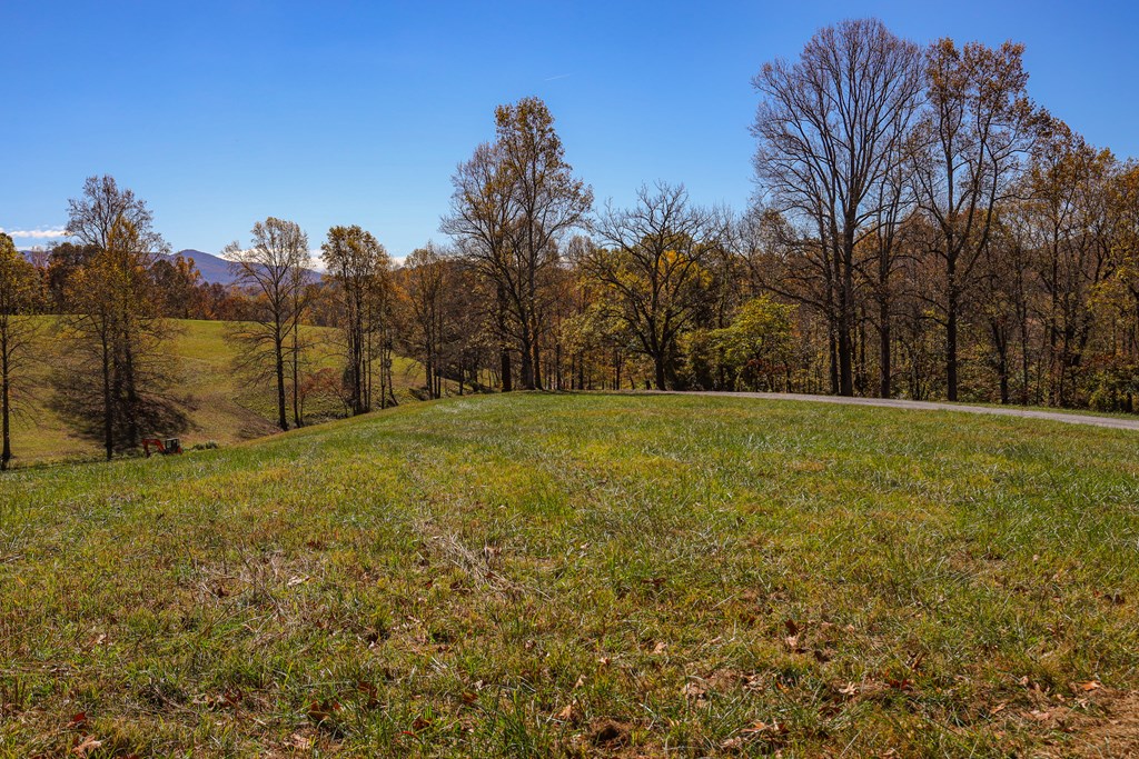 Lot 7 Hinton Overlook #7, HAYESVILLE, North Carolina image 11