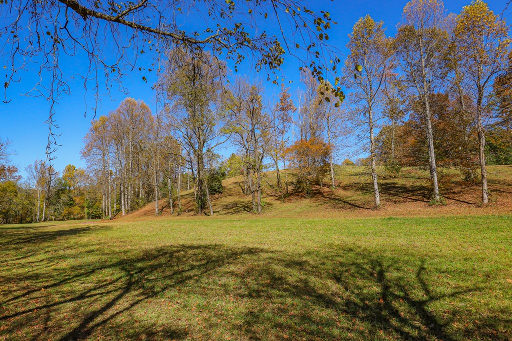 Lot 7 Hinton Overlook #7, HAYESVILLE, North Carolina image 12