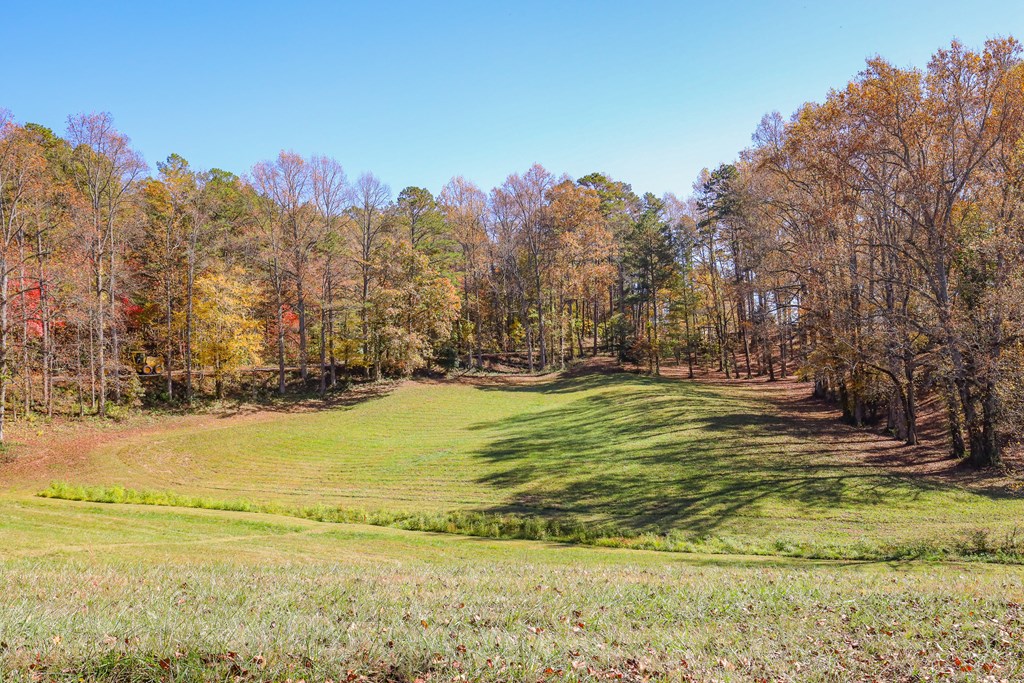 Lot 7 Hinton Overlook #7, HAYESVILLE, North Carolina image 17