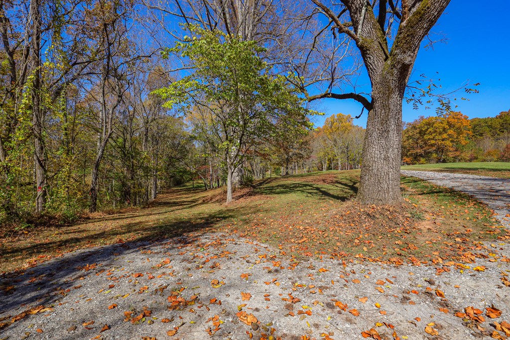 Lot 7 Hinton Overlook #7, HAYESVILLE, North Carolina image 20