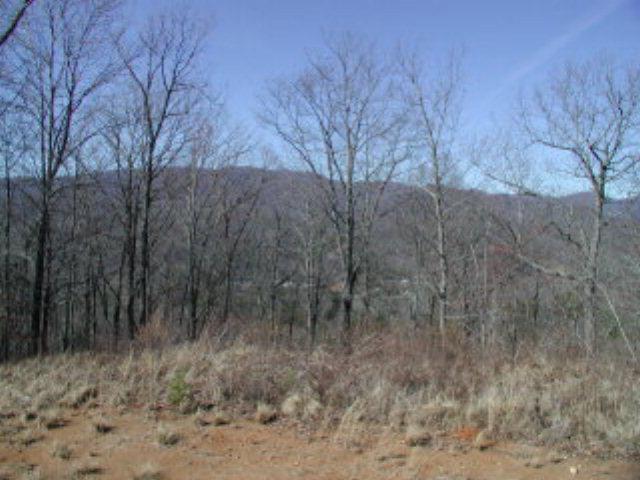 LOT6&7 Bear Creek Junction #6/PO7, ROBBINSVILLE, North Carolina image 9