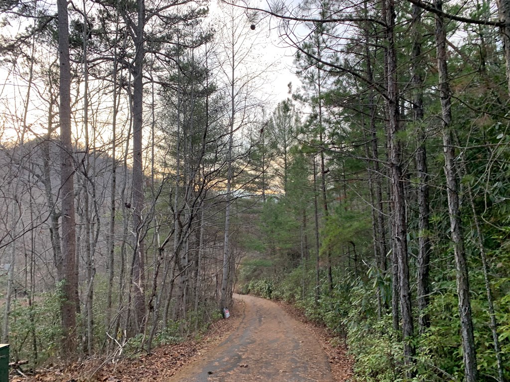 LOT6&7 Bear Creek Junction #6/PO7, ROBBINSVILLE, North Carolina image 8