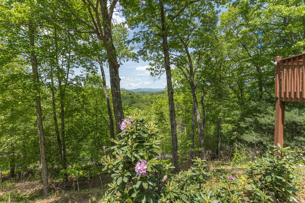 215 Warren Drive, MURPHY, North Carolina image 29