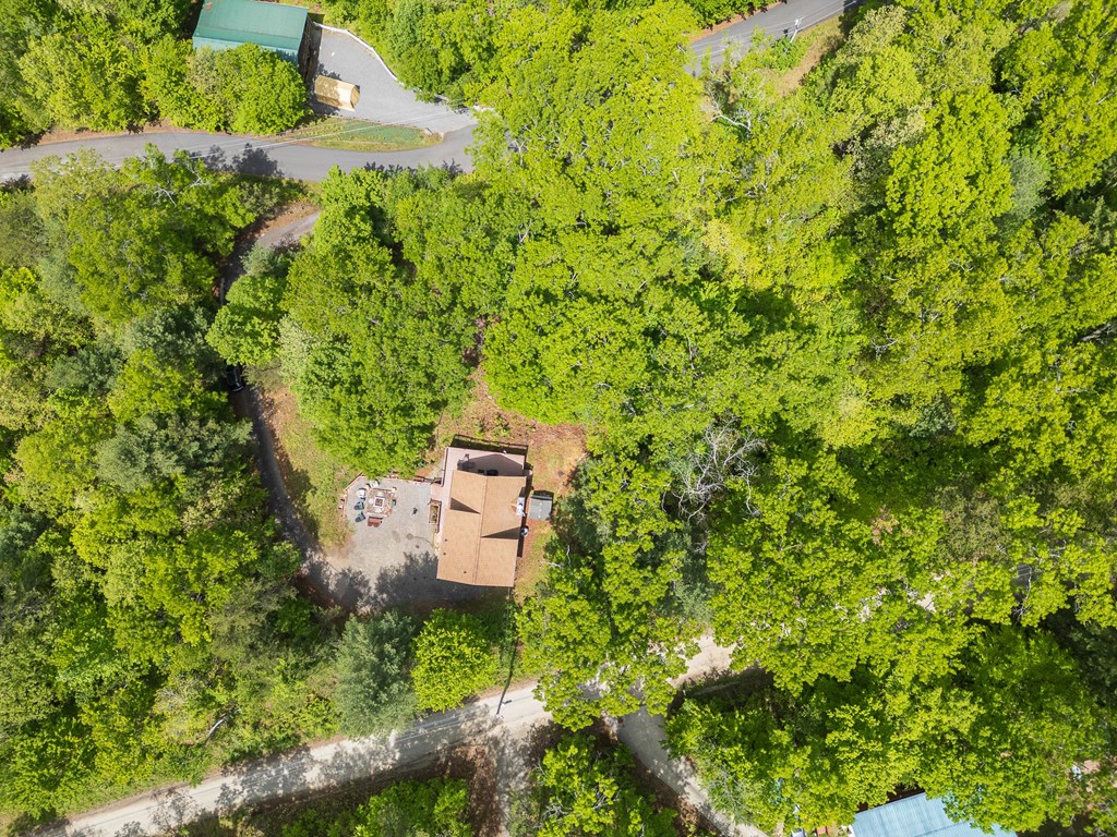 215 Warren Drive, MURPHY, North Carolina image 44