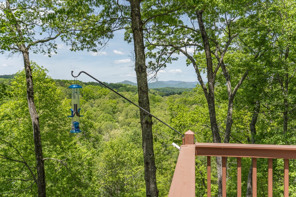 215 Warren Drive, MURPHY, North Carolina image 32