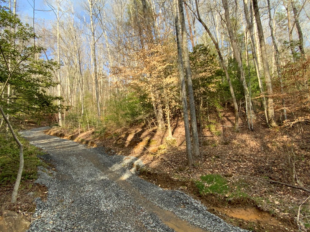 Lot 5 Ivy Log Rd #5, MURPHY, North Carolina image 10