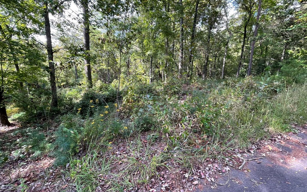 Lot E Timber Ridge #E, HAYESVILLE, North Carolina image 4
