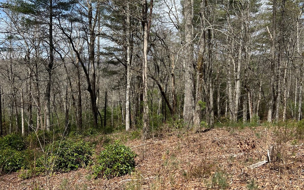 Lot E Timber Ridge #E, HAYESVILLE, North Carolina image 9