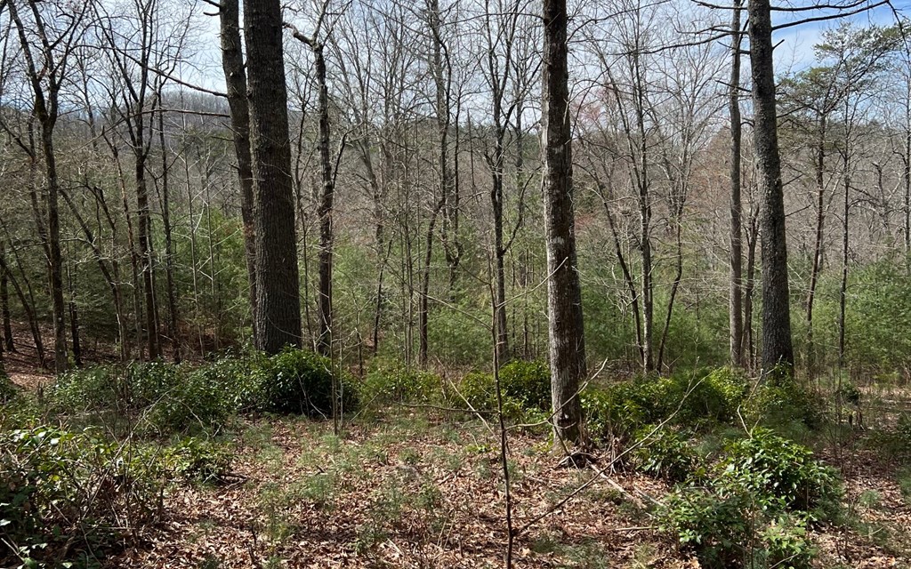 Lot E Timber Ridge #E, HAYESVILLE, North Carolina image 7