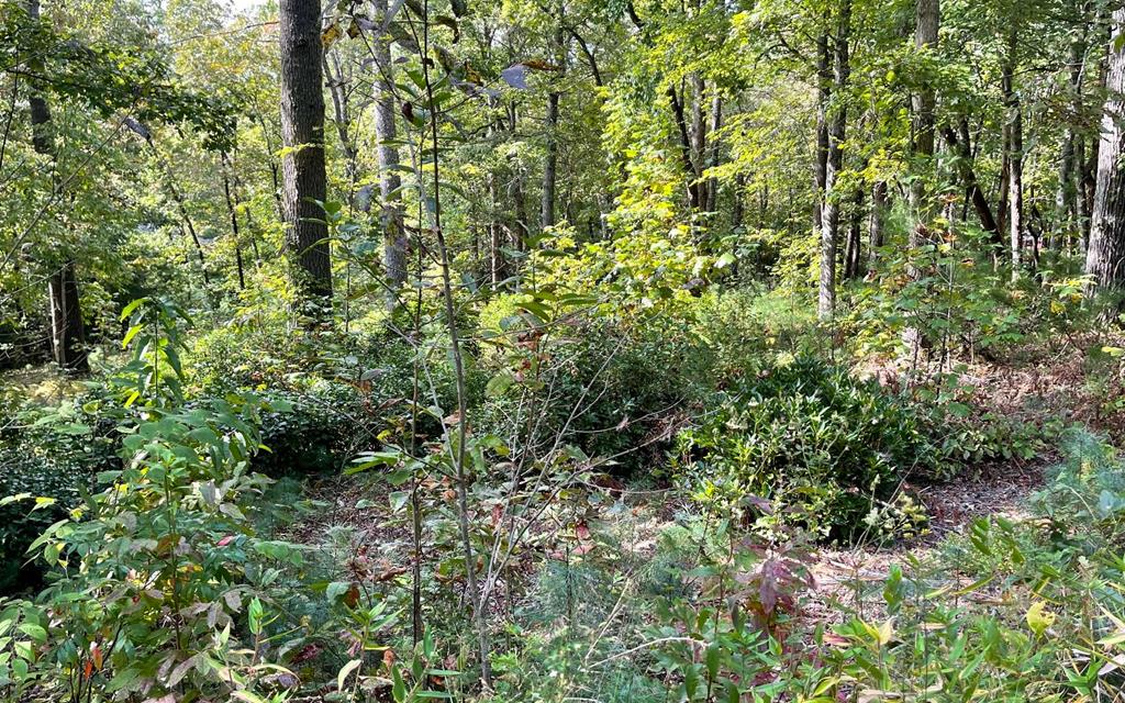 Lot E Timber Ridge #E, HAYESVILLE, North Carolina image 1